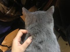 -不止轰趴独栋别墅户外烧烤(颐西庄园店)