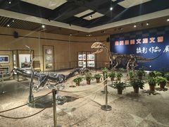 -自贡恐龙博物馆