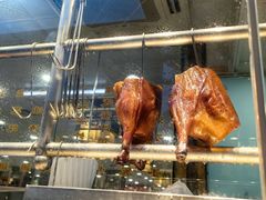 -万年酒楼(越秀南路店)