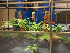 -红鼎豆捞· 20年老店每天都新鲜(宝丰路店)