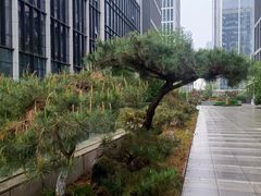 -峪悦里(汉峪金融商务中心店)