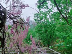 -沂蒙云瀑洞天景区