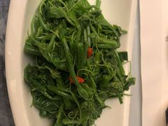 清香丝瓜尖-中国徽菜·徽商故里(远大店)