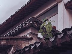 -文庙菜饭(四川北路店)