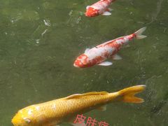 -广州花园酒店