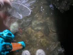 -将军关探险漂流