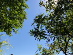 -天津东丽湖风景区