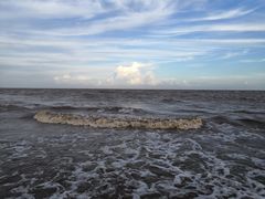 -南汇嘴观海公园