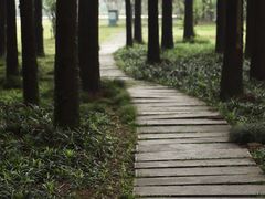 -采石矶景区