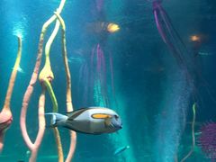 -沈阳海洋探索中心