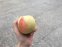 -蜜雪冰城(托乐嘉店)