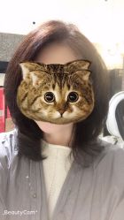 -付军剪艺