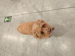 -九寨沟石锅鱼(沣峪口二十年店)