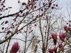 -白鹭湾湿地公园