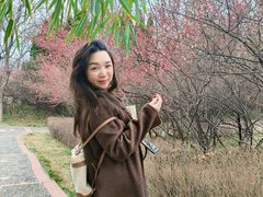 -洛阳市隋唐城遗址植物园