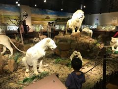 -陕西自然博物馆