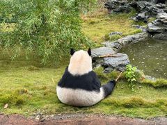 -杭州野生动物世界