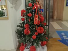 -天津大学爱尔眼科医院(天津院区)