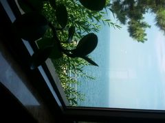 -海草馆自助餐厅(悦海店)