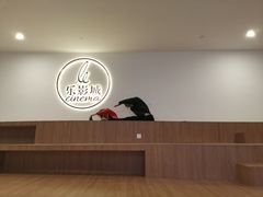 -正大乐影城(洛阳店)