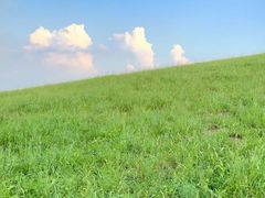 -三圣花乡旅游区