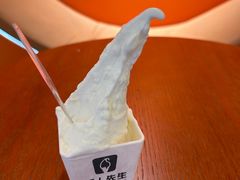 -野人先生现做冰淇淋(北京王府井东方新天地店)