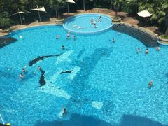 -碧涛阁·泡泡海洋·汤泉洗浴(王府花园店)