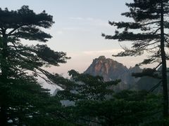 -盒马鲜生(联投广场店)