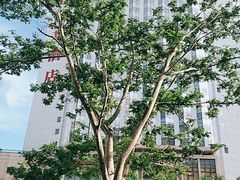 -深圳凯宾斯基酒店