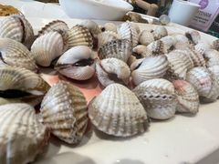 血蛤-华盛丰温州大排档(东三环南路店)