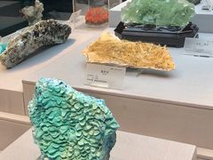 -湖南省地质博物馆