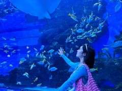 -海合安成都极地海洋公园