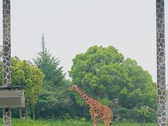 -宁波野生动物园