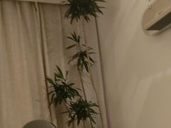 -沐森 •疗愈头疗馆(打浦桥店)