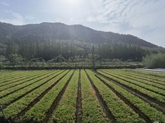 -东钱湖旅游度假区