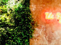 -The Rug Cafe(王府中环店)