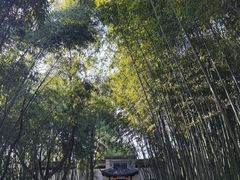 -包公祠