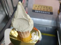 开心果-野人先生现做冰淇淋(北京顺义祥云小镇店)