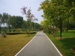 -洨河生态公园