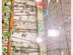 -尚竹阁冬瓜盅·18年地标美食(平洲店)