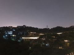 -福道