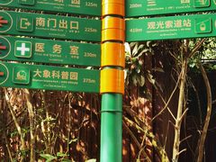 -野象谷景区