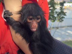 -水上乐园·欢乐世界