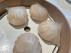 -金悦轩海鲜城(渔人码头店)
