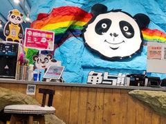 -龟与熊猫宠物公园(南坪店)