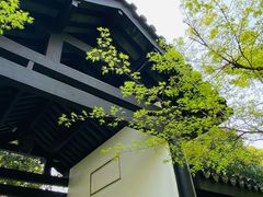 -红梅公园