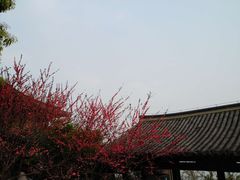 -杭州半山国家森林公园