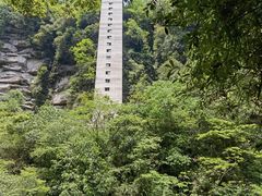 -碧峰峡风景区