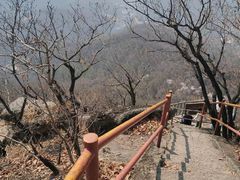 -吉林市朱雀山国家森林公园