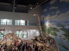 -自贡恐龙博物馆